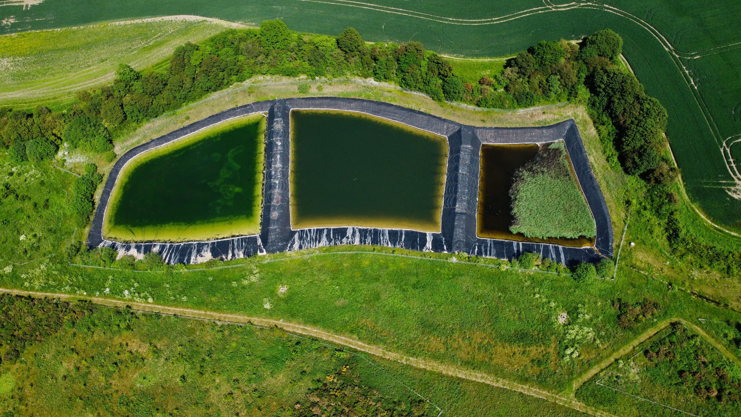 Three irrigation ponds surrounded by greenery